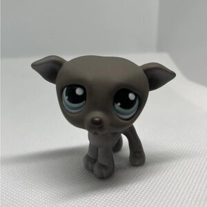 Littlest Pet Shop Dark Grey Greyhound Whippet Dog #319 White Frost Blue Eyes